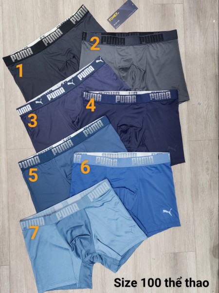 Quần Lót Boxer PMA 2 chất Cotton, thể thao