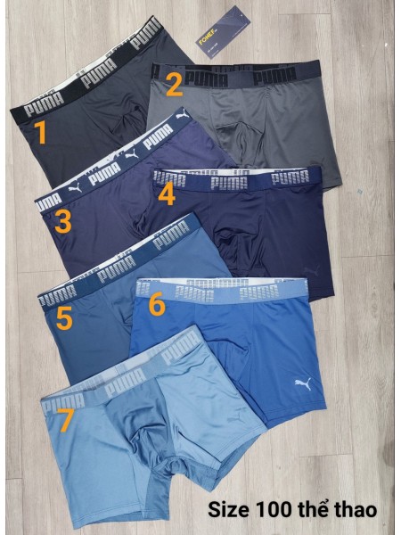 Quần Lót Boxer PMA 2 chất Cotton, thể thao